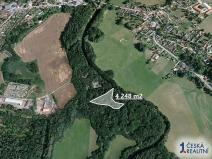 Prodej zahrady, Dvory nad Lužnicí, 4248 m2