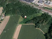 Prodej lesa, Dětmarovice, 3667 m2