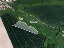 Prodej podílu pole, Petroupim, 218 m2