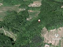 Prodej podílu lesa, Košíky, 2115 m2