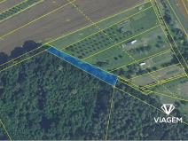 Prodej podílu lesa, Březolupy, 446 m2