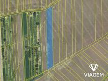 Prodej podílu sadu/vinice, Labuty, 450 m2