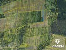 Prodej pole, Osvětimany, 5319 m2