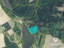 Prodej podílu lesa, Střevač, 1453 m2