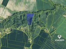 Prodej podílu lesa, Sobotka, 2241 m2