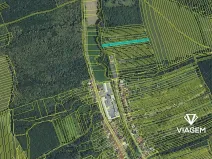 Prodej podílu lesa, Veletiny, 393 m2