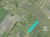 Prodej podílu zahrady, Horušice, 2981 m2