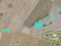 Prodej podílu pole, Veliká Ves, 5416 m2