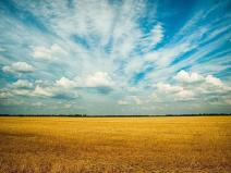 Prodej podílu pole, Chýnice, 1792 m2