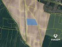 Prodej pole, Vinařice, 12754 m2