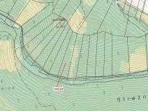 Dražba lesa, Vranová Lhota, 5798 m2