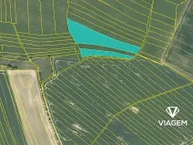 Prodej podílu pole, Krtov, 4136 m2