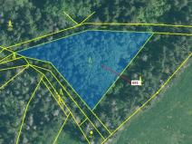 Dražba lesa, Kuřimany, 2947 m2