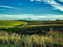 Prodej pole, Nosislav, 5643 m2