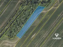 Prodej pole, Nesuchyně, 3287 m2