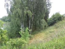 Dražba pozemku, Třebařov, 4992 m2