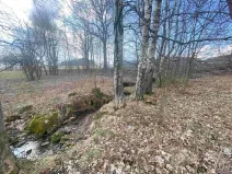 Dražba louky, Bartošovice v Orlických horách, 5738 m2