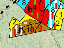 Dražba lesa, Lačnov, 7364 m2