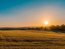 Prodej podílu pole, Prakšice, 1895 m2