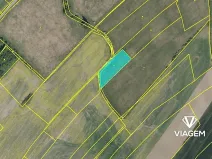 Prodej podílu pole, Dašice, 2447 m2