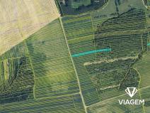 Prodej pole, Hradčovice, 5542 m2