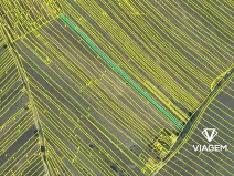 Prodej podílu pole, Josefov, 653 m2