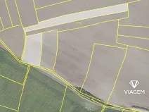 Prodej podílu pole, Jíkev, 4165 m2