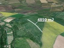 Prodej pole, Velká nad Veličkou, 4850 m2