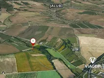 Prodej pole, Jalubí, 5899 m2