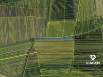 Prodej pole, Kněždub, 6791 m2