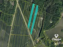 Prodej podílu pole, Horní Ředice, 3316 m2