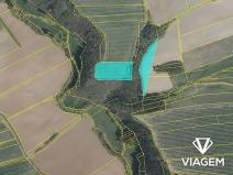 Prodej podílu pole, Šípy, 1011 m2