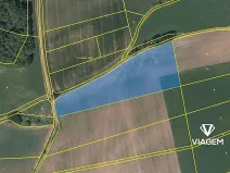 Prodej podílu pole, Úbislavice, 5872 m2