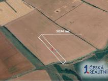 Prodej podílu pole, Březolupy, 839 m2