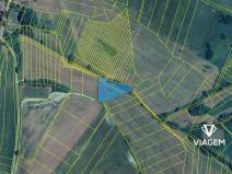 Prodej pole, Kbel, 4100 m2