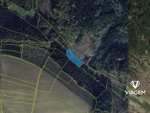 Prodej pole, Zbizuby, 2380 m2