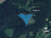 Prodej lesa, Všemina, 36466 m2