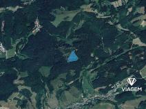Prodej lesa, Všemina, 21200 m2