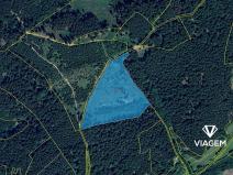 Prodej lesa, Všemina, 21200 m2