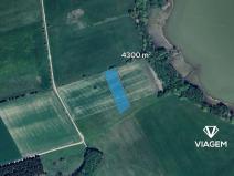 Prodej pole, Sirá, 4300 m2