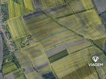 Prodej pole, Kněždub, 4473 m2