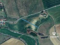 Prodej pole, Litenčice, 2401 m2