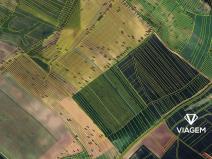 Prodej podílu pole, Krumvíř, 398 m2