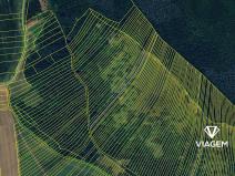 Prodej pole, Drslavice, 498 m2