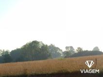 Prodej podílu pozemku pro bydlení, Seč, 297 m2