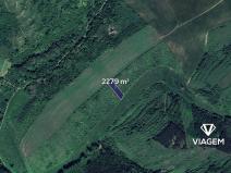 Prodej podílu pole, Hustopeče, 253 m2