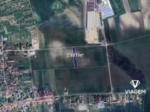 Prodej podílu pole, Hrušovany nad Jevišovkou, 255 m2