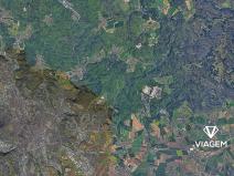 Prodej lesa, Brno, 1709 m2