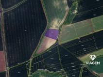 Prodej podílu pole, Bělušice, 1388 m2