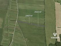 Prodej podílu pole, Javorník, 2058 m2
